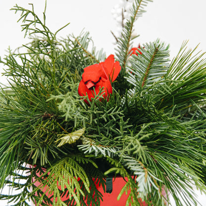 Christmas Bird Planter - 6 Inch Tin Pot