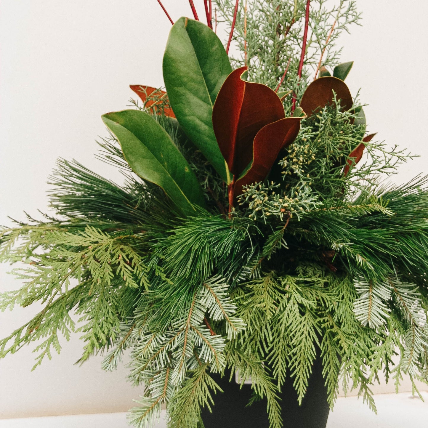 Modern Greens & Dogwood Winter Porch Pot