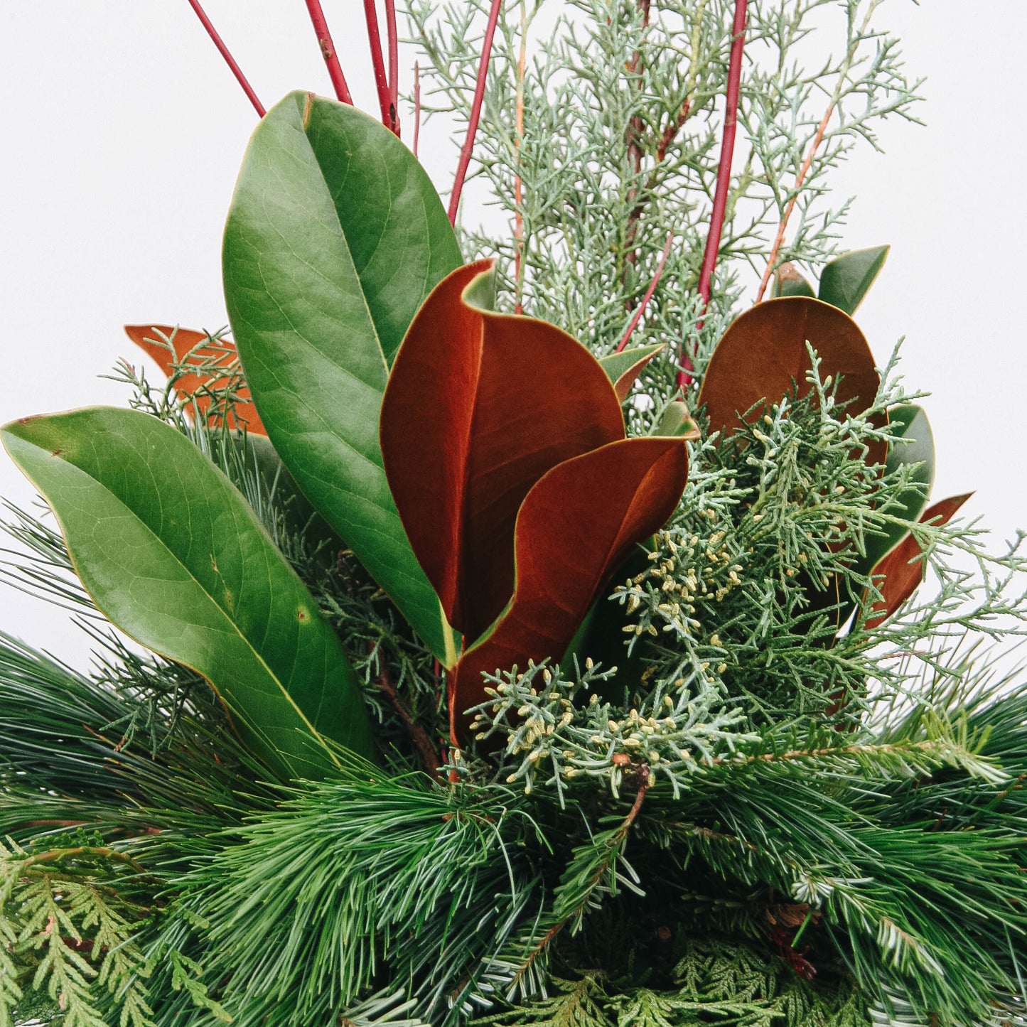 Modern Greens & Dogwood Winter Porch Pot