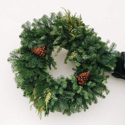 Mixed Noble Fir Wreath with Cones - 20 Inch