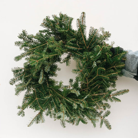 Fraser Fir Wreath - 20 Inch