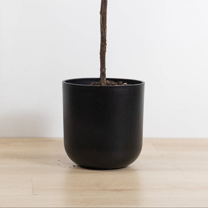 Pot Eco Smooth