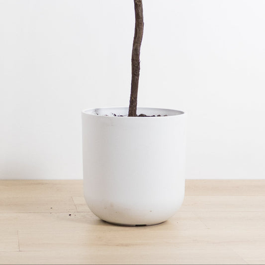 Eco Smooth Pot
