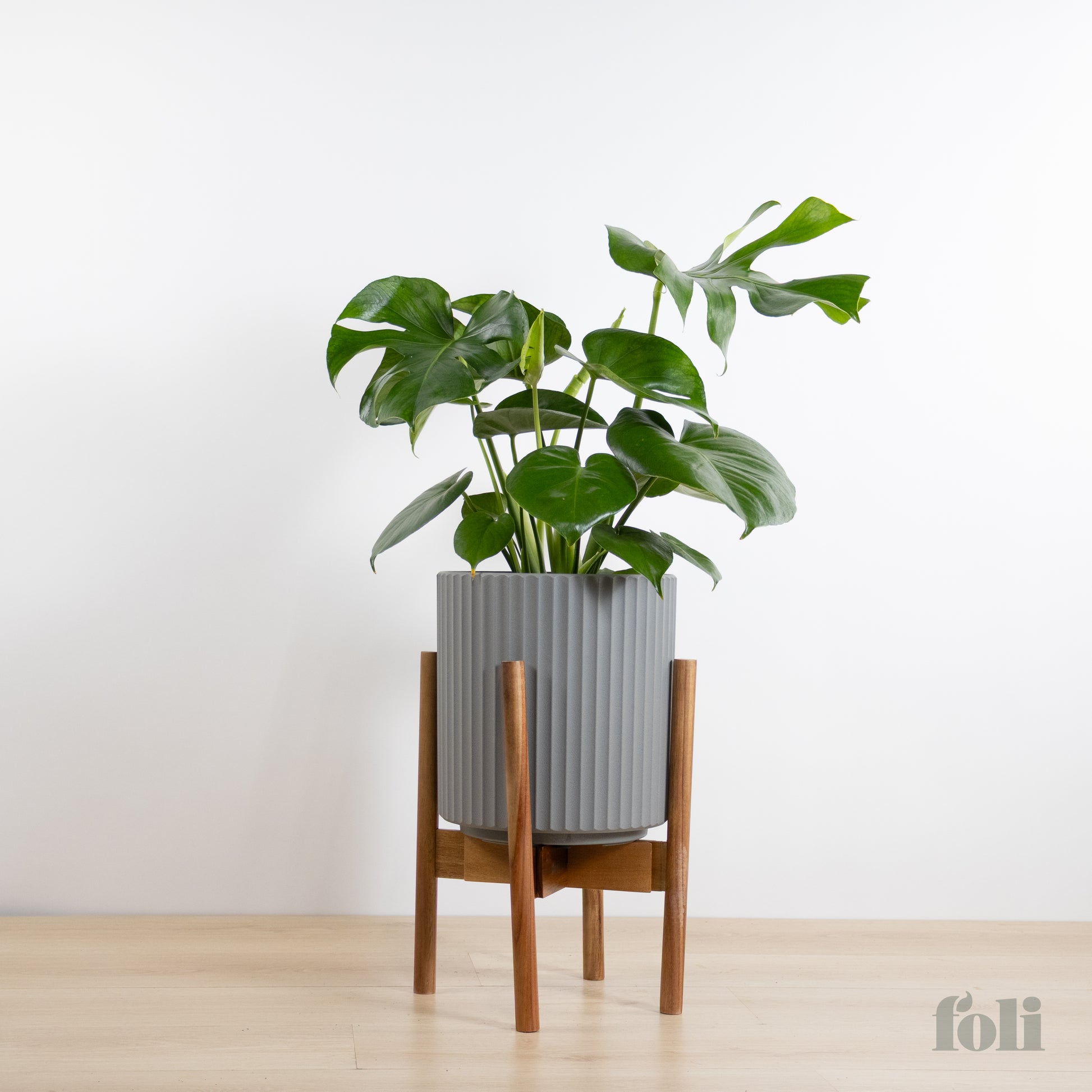 plant pot for monstera Monstera – Foli