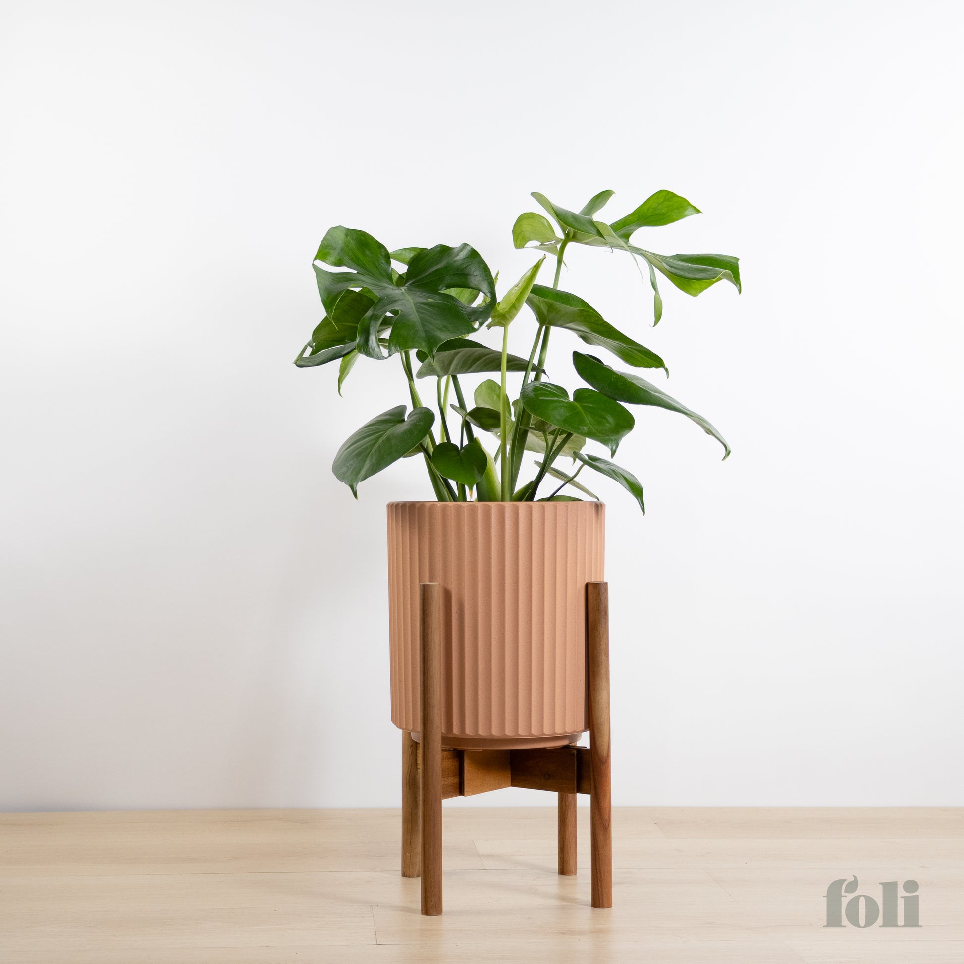 plant pot for large monstera Monstera – Foli