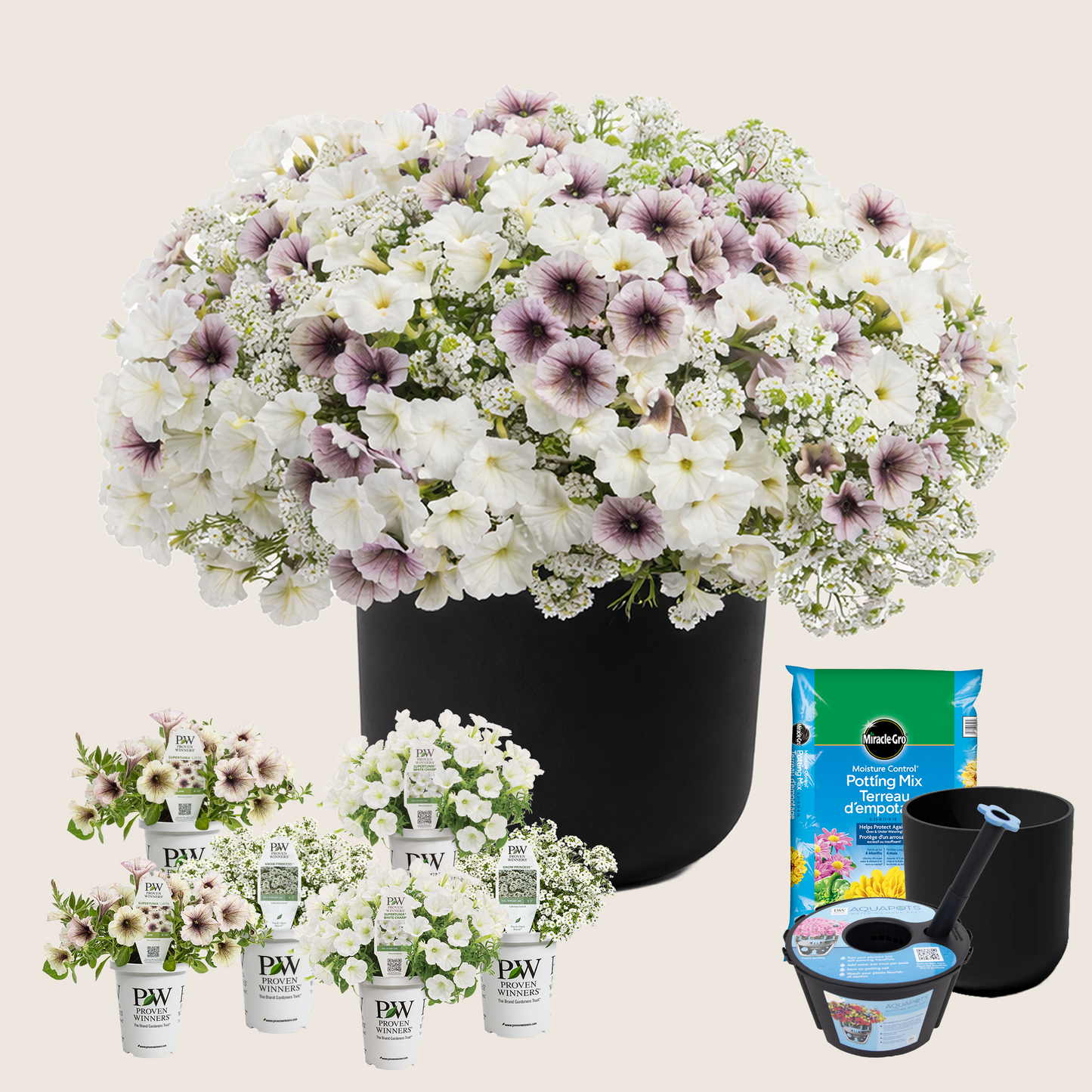 Ready-to-Plant Combo Kit: Maria