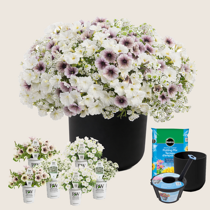 Ready-to-Plant Combo Kit: Maria