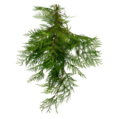 Port Orford Cedar Boughs