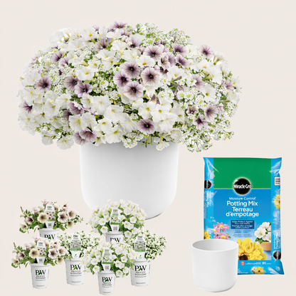 Ready-to-Plant Combo Kit: Maria