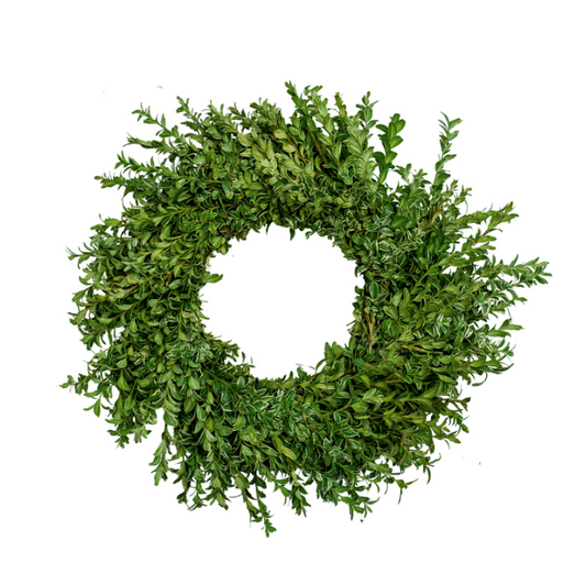 Oregonia Wreath - 20 Inch