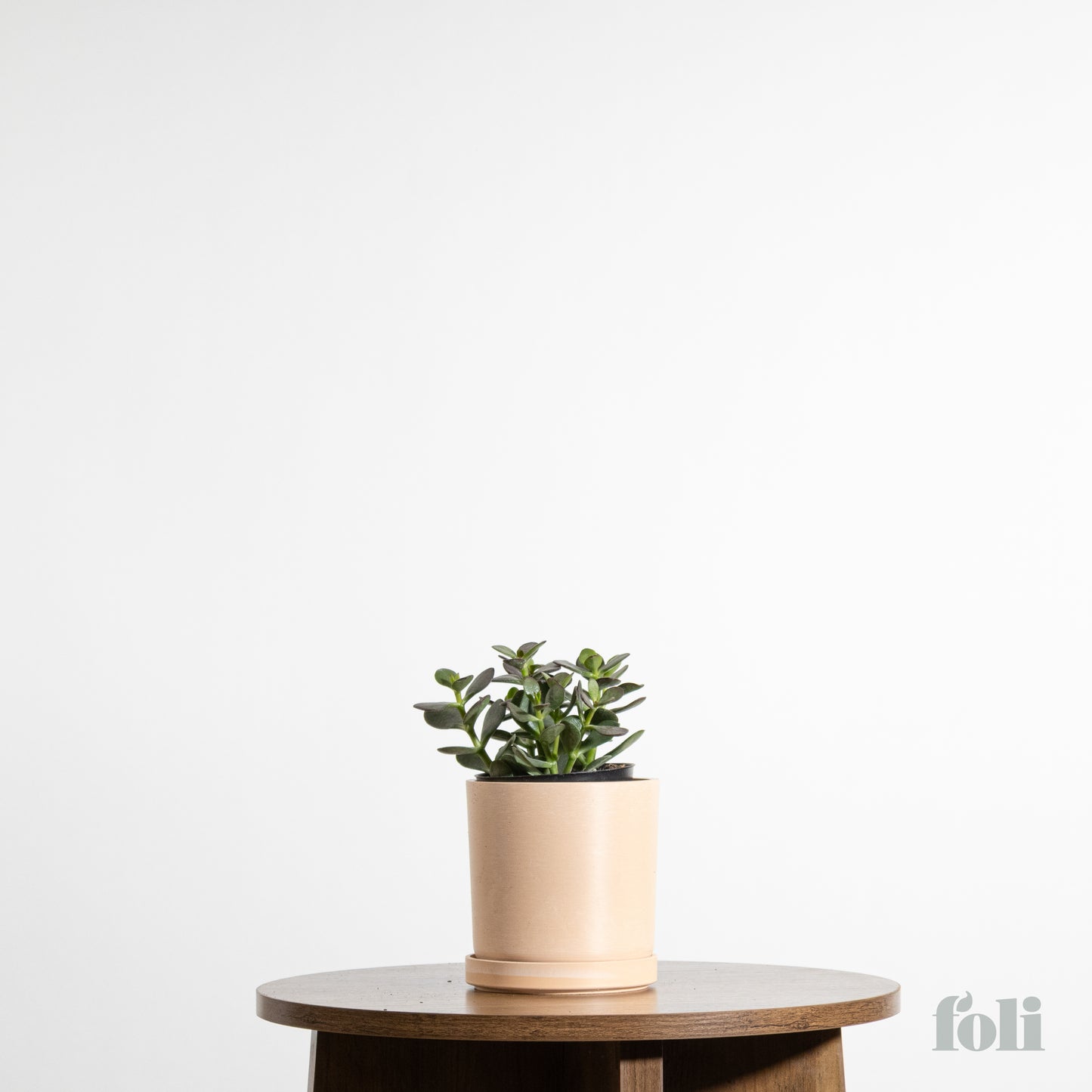 Jade