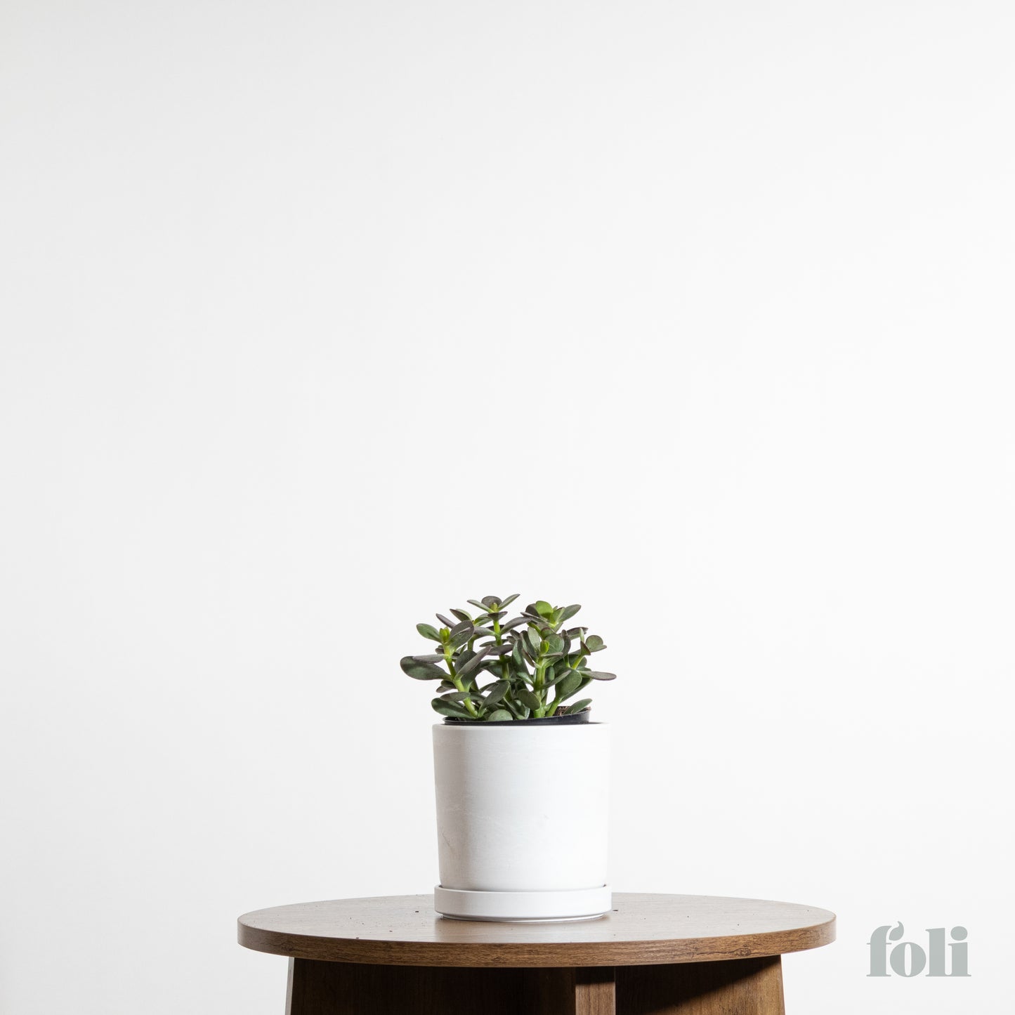 Jade