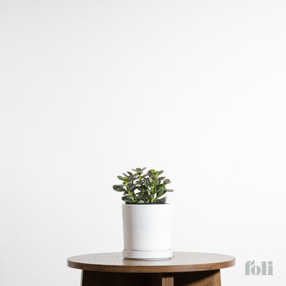Jade