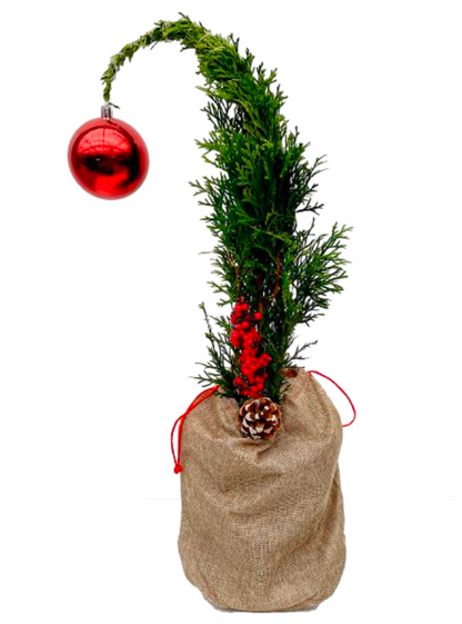 Emerald Cedar Grinch Tree