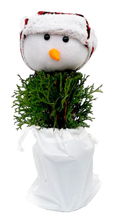 Teddy Cedar Snowman Tree