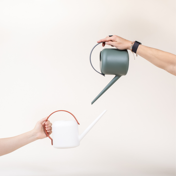 NEW! Watering Can