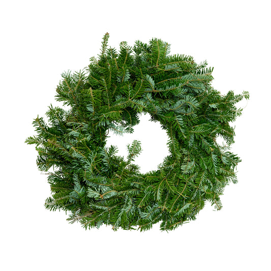 Fraser Fir Wreath - 20 Inch