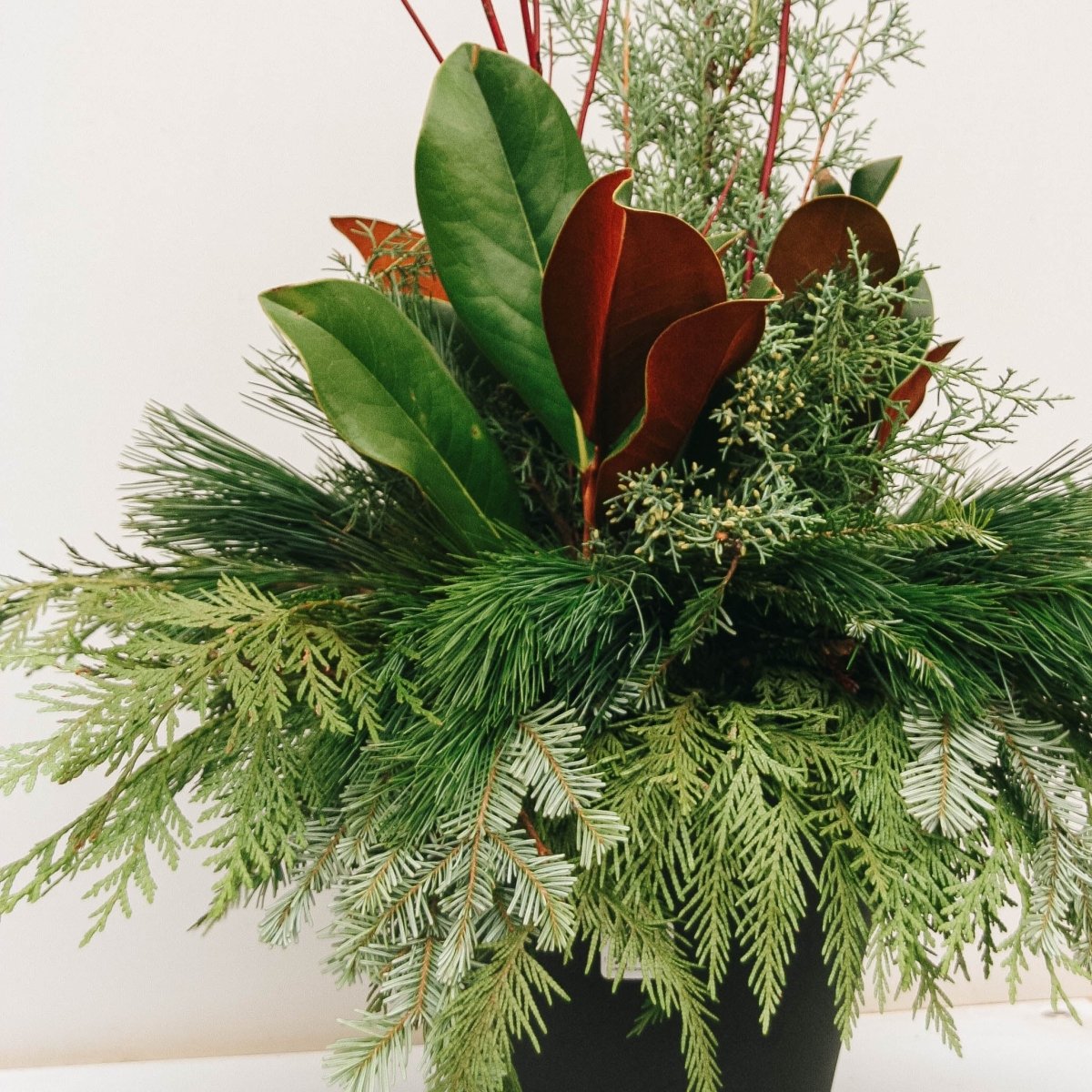 Fancy Greens & Dogwood Winter Porch Pot 