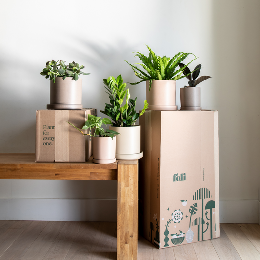 Eco Neutral Pots