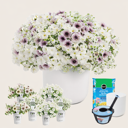 Ready-to-Plant Combo Kit: Maria