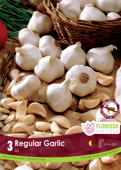 Regular Garlic - LandscapeDirect