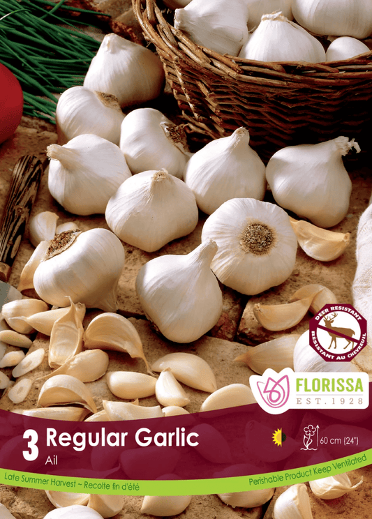 Regular Garlic - LandscapeDirect