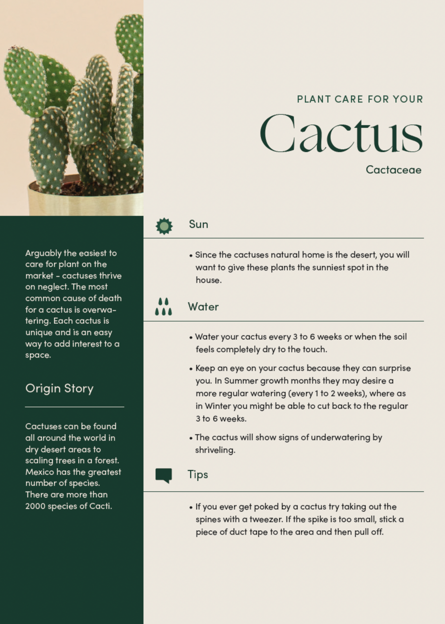 Cactus Duo