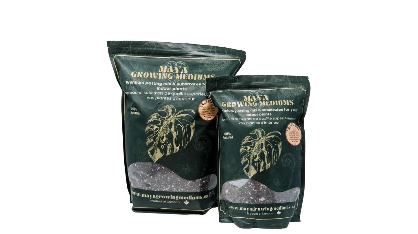 Premium Cactus Soil