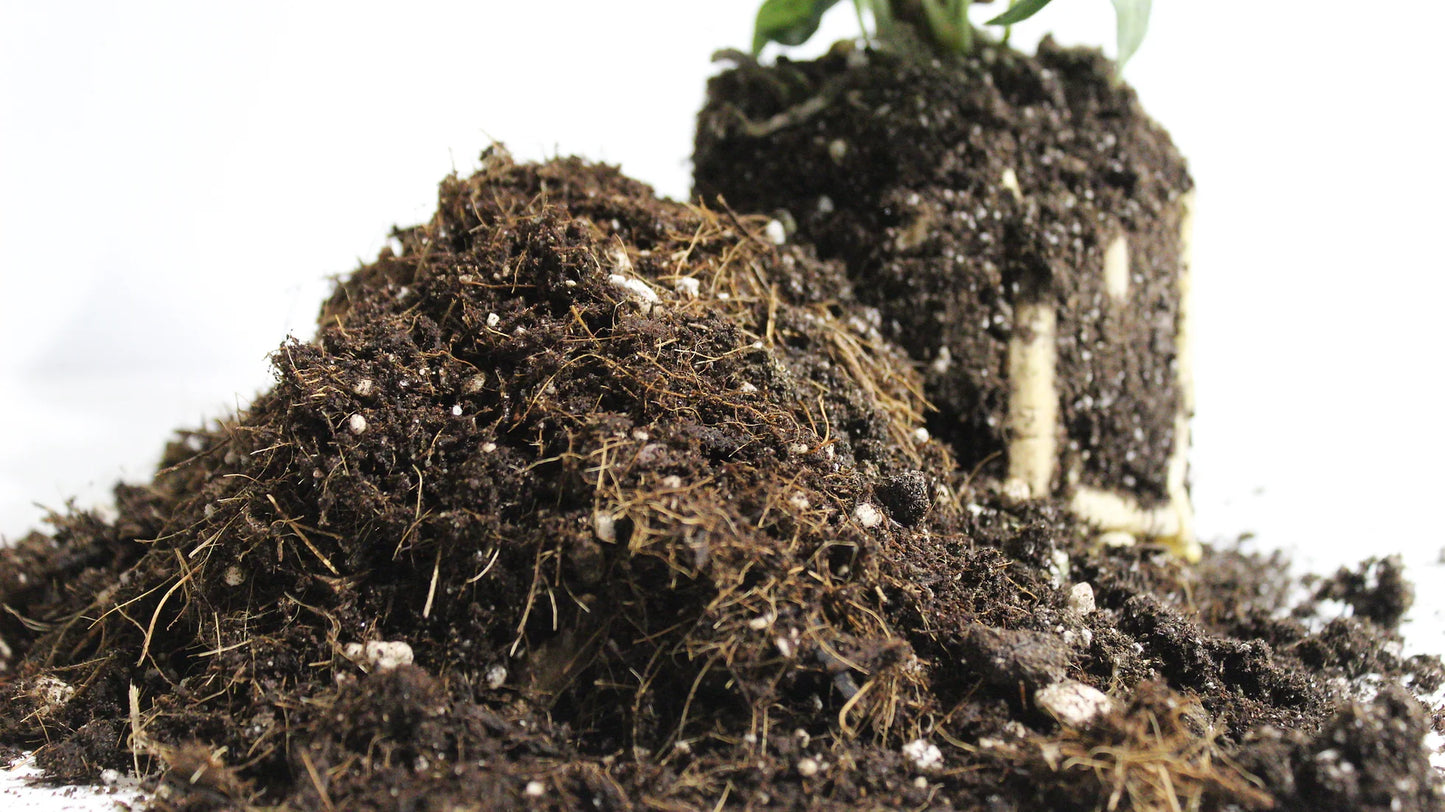 Premium General Soil